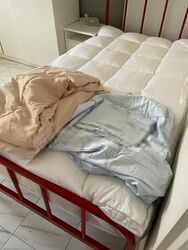 Blk 148 Tampines Avenue 5 (Tampines), HDB Executive #427499381